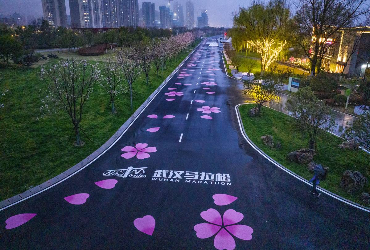 汉马760米樱花赛道太美了