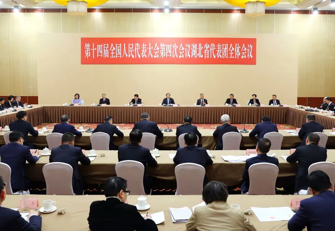 湖北代表团举行全体会议