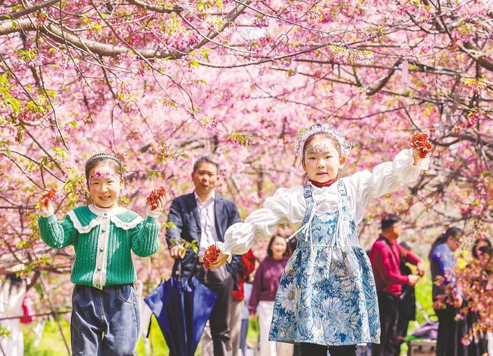 賞櫻熱帶火鄉(xiāng)村游