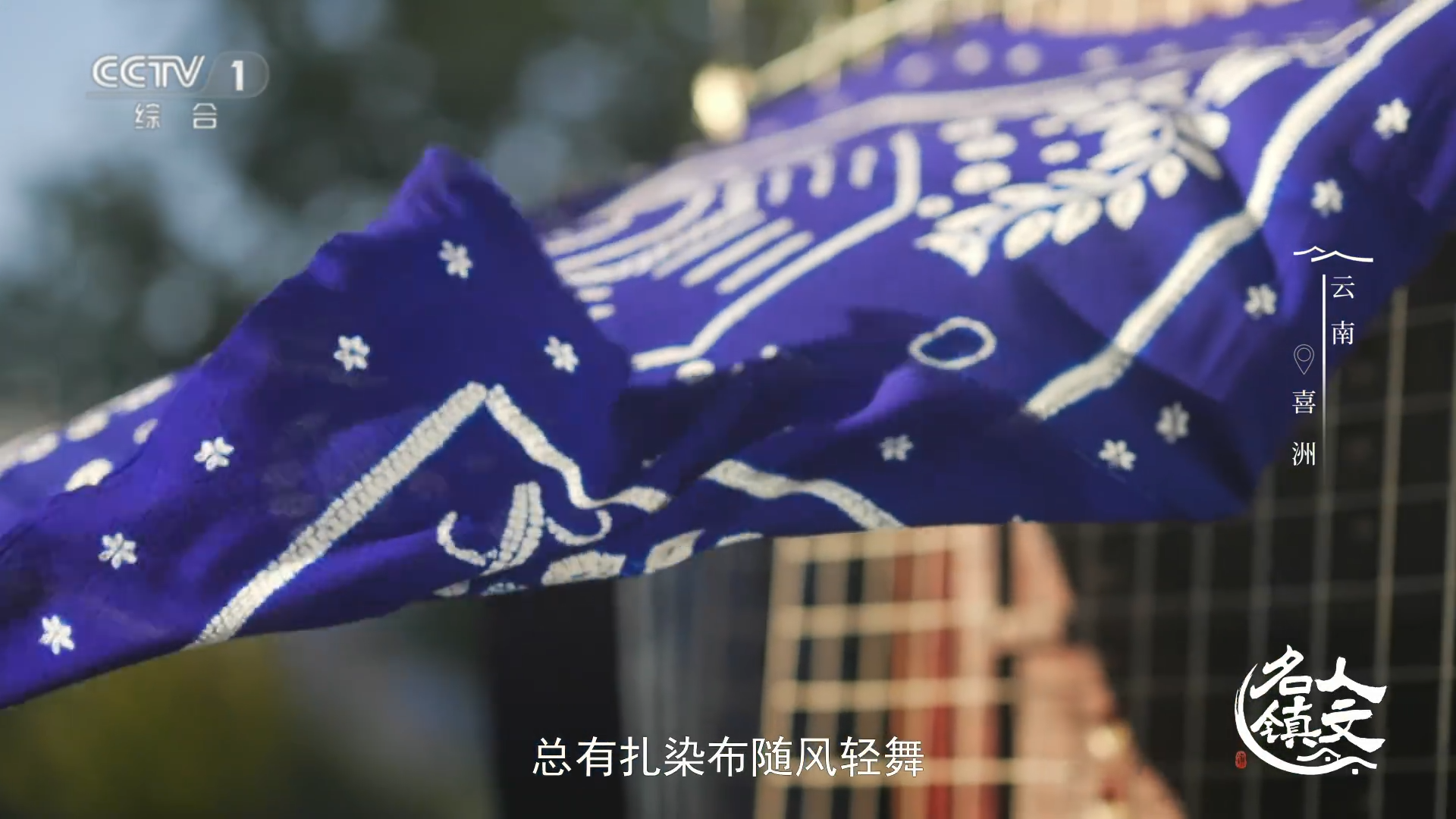 原来大理扎染的蓝来自板蓝根