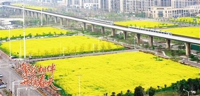 繁花相伴 開往春天