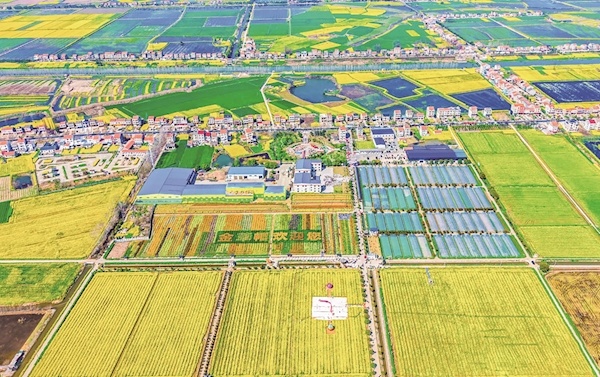 监利古镇“七彩烂漫游”启幕