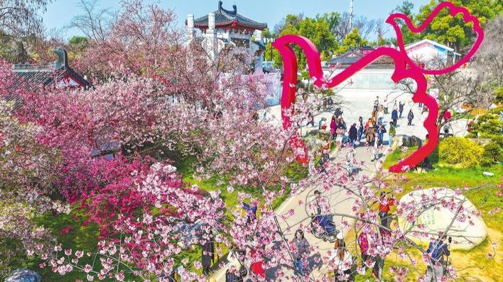 櫻約荊楚迎四海 湖北三大主題活動(dòng)邀全球賞櫻