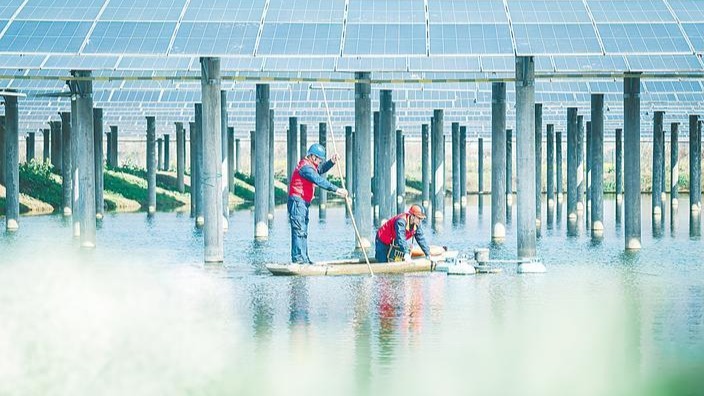 渔光互补给乡村添绿