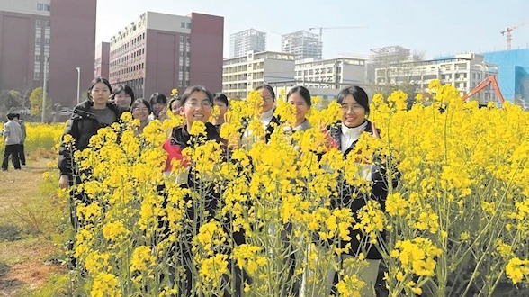 课堂搬到油菜花田