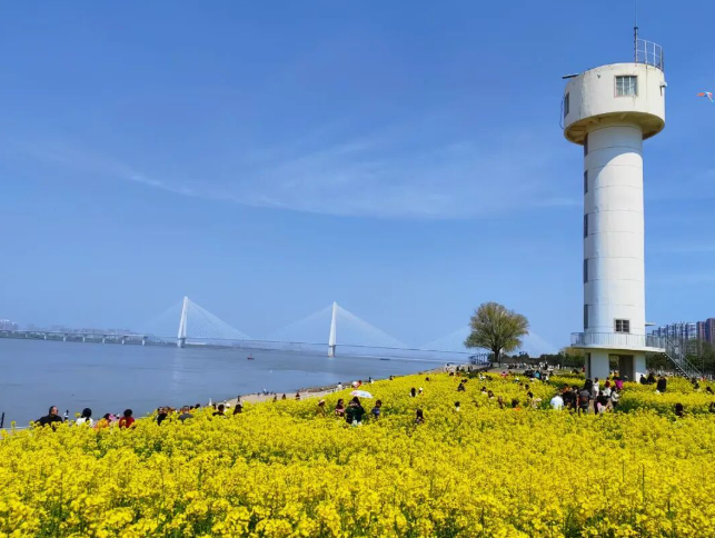 《人民日?qǐng)?bào)》跟著游客江灘賞花