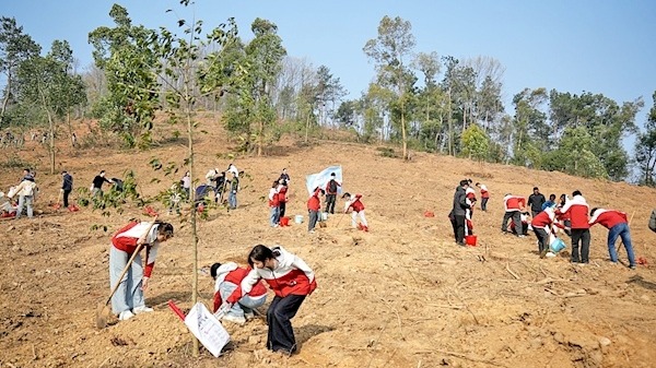 这个植树节 武汉人为家园添绿近2万株