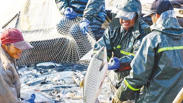 湖北淡水产品总量连续30年居全国第一