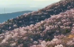 山西这波浪漫超标了