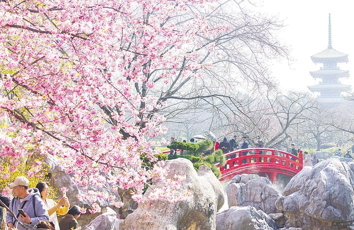 全球游客為何奔赴武漢的春天