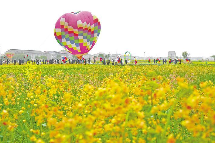 油菜花海帶火鄉(xiāng)村游