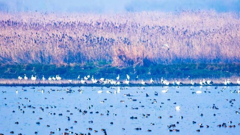 湖北“遞”出最靈動的生態(tài)名片