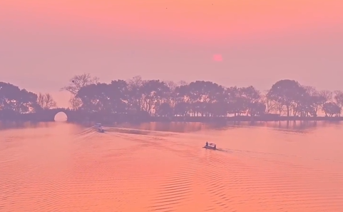 西湖日出与玉兰花同框