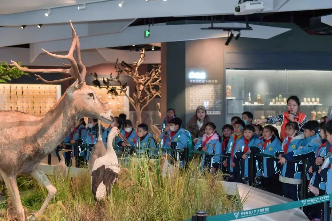 春日限定！湖北高校特色場館一鍵免費(fèi)預(yù)約