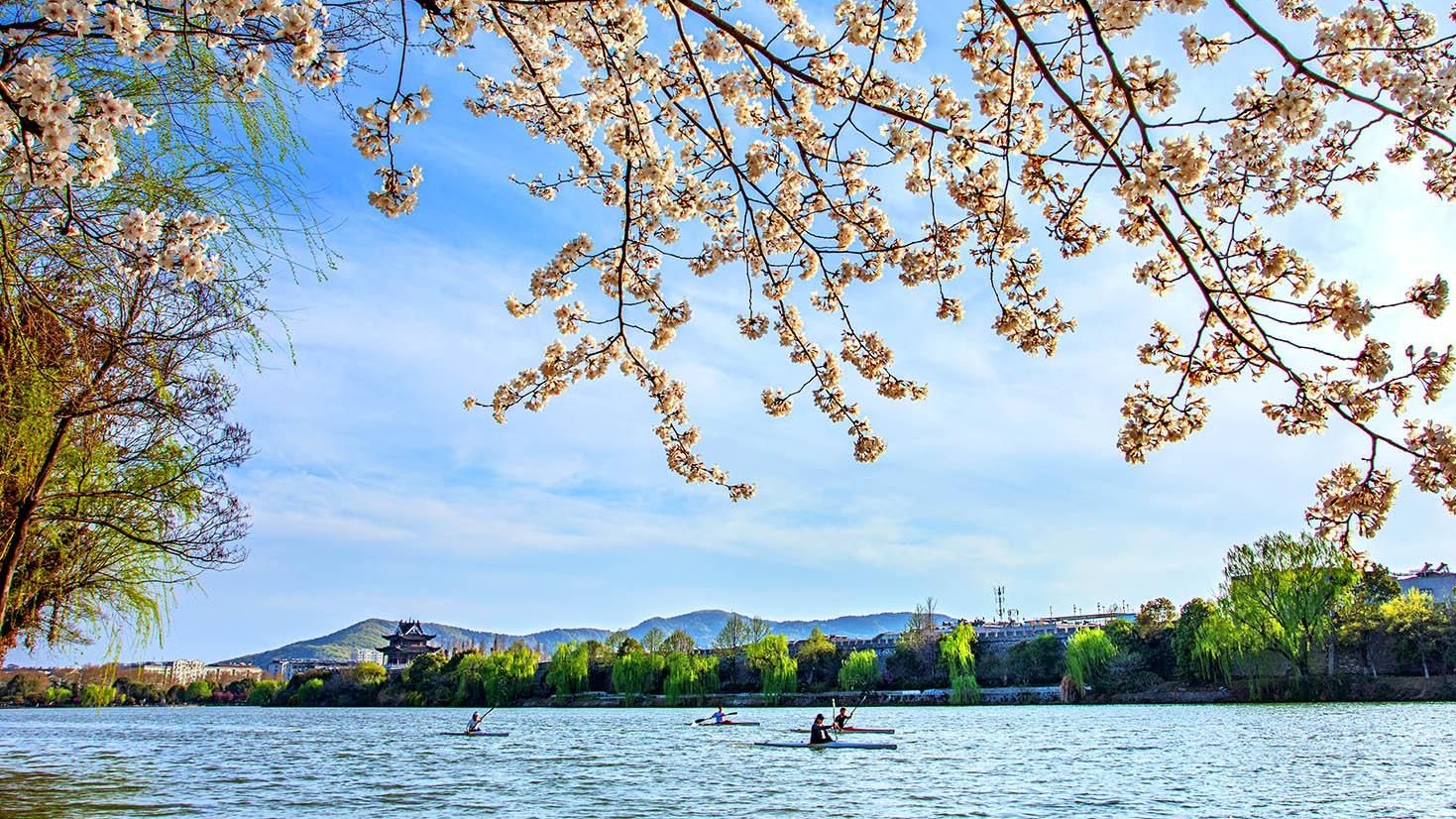 一路繁花  一路繁华！笔墨光影里的襄阳春日