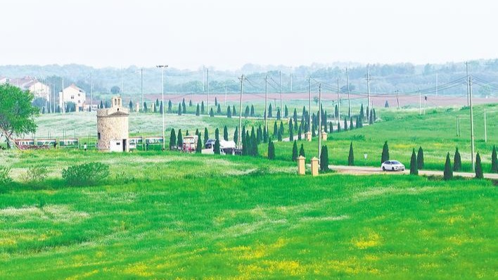 梁子湖畔的异域风情