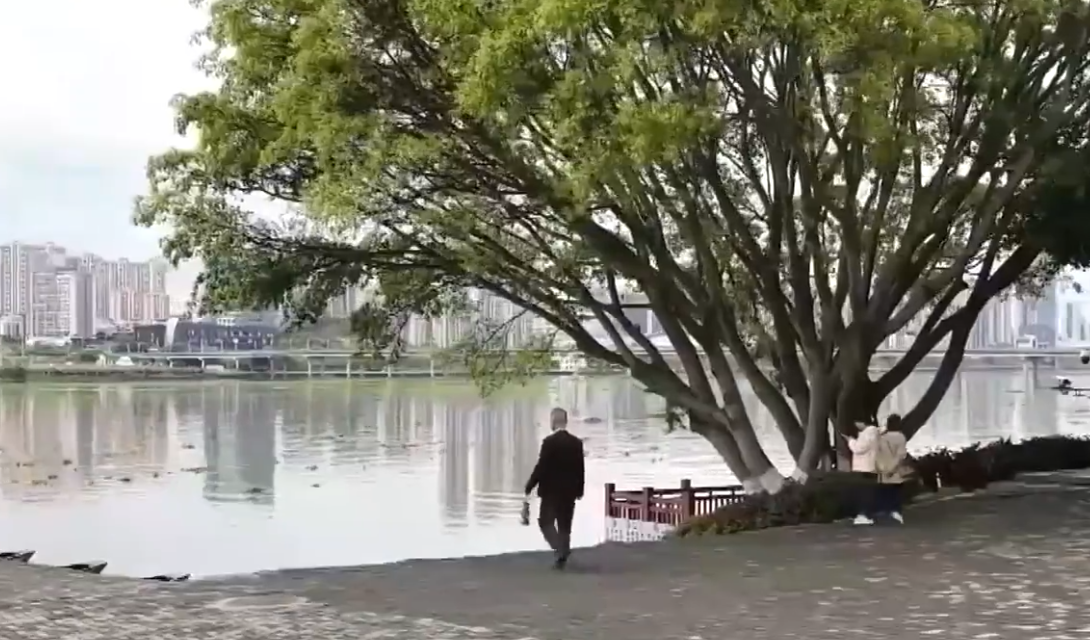 妈妈提灯在村口等红军儿子等了26年