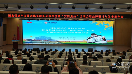 c035f9becd13257208d425b235d99f20_553X312_20260415121640