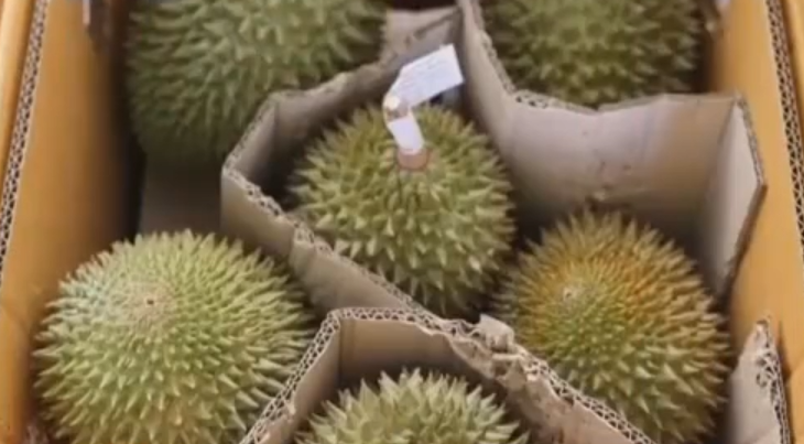 榴莲旺季中老铁路加班运