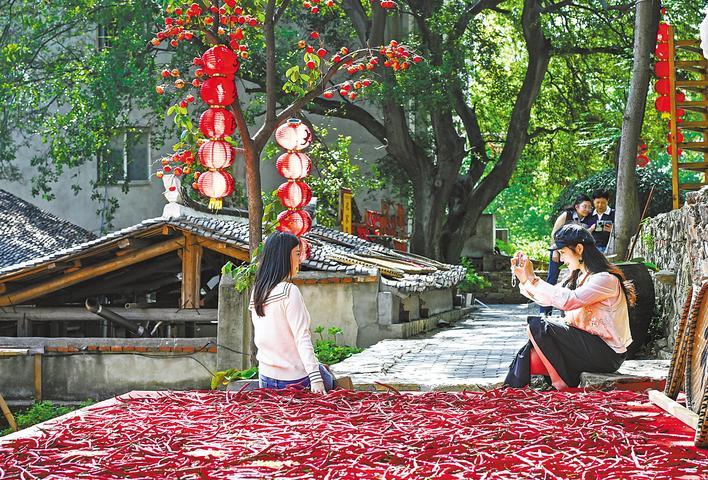 黄陂推动景中村颜值产值双提升