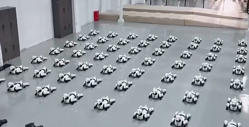 中国机器狗出国当安保