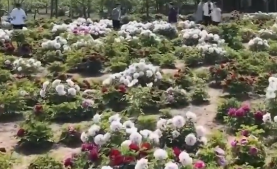 南北方多地将热到30摄氏度