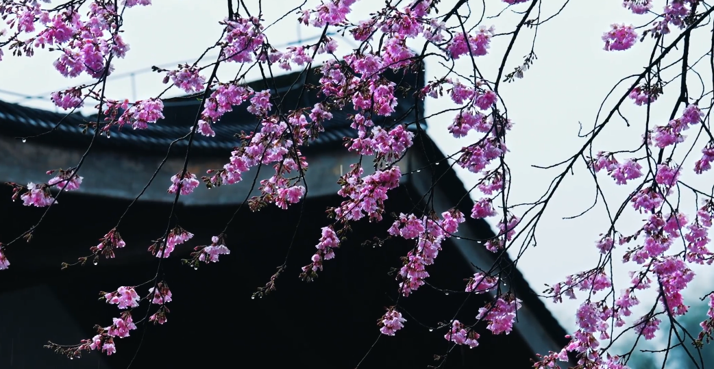 4月草木中都是思念