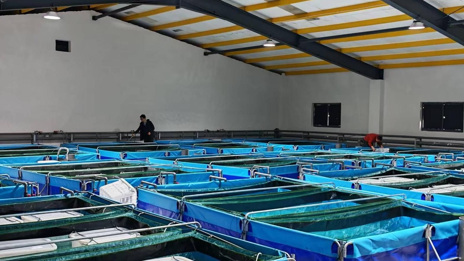 湖北成功攻克小龍蝦“四季有苗”繁育技術(shù)難題