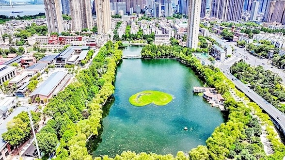 武汉城管通报违法建设整治十大典型案例