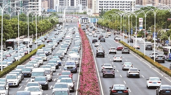 武漢這條5.5公里月季大道“爆街”