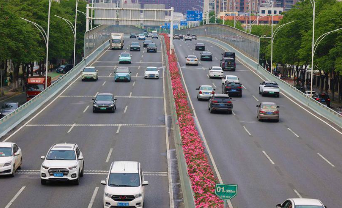 可以赴約啦，洪山月季大道“爆街”倒計(jì)時(shí)