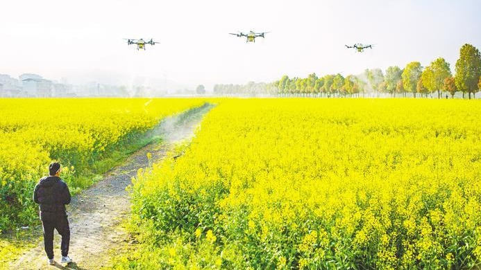 科技春管护丰收