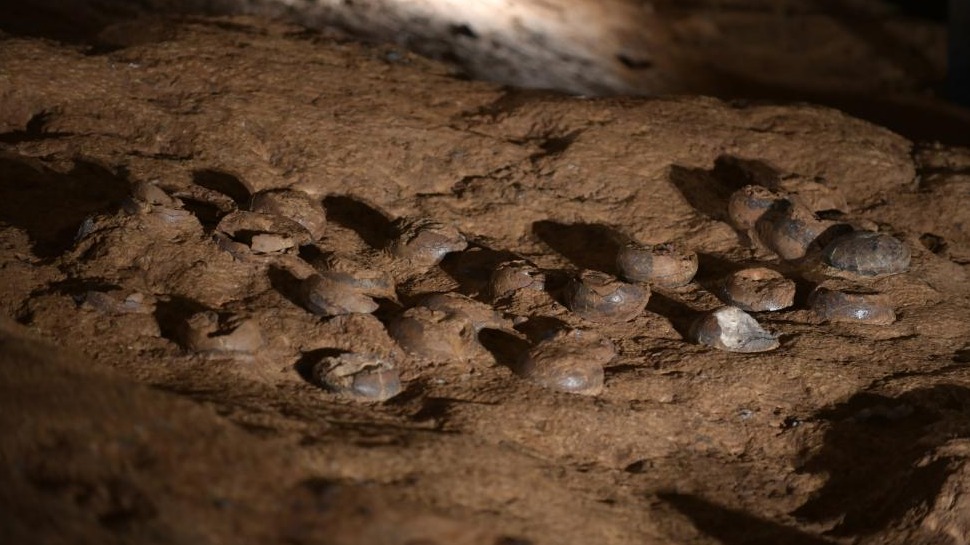 超大規(guī)?？铸埖盎捍┥稀凹{米防護服”