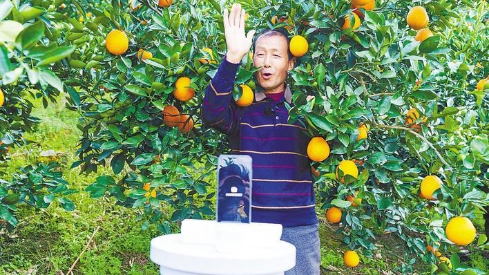 七旬老农变身“秭归猴哥”