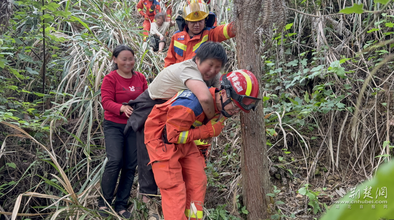 进山采笋失联十余小时！消防陡坡密林“地毯式”搜索救回母女