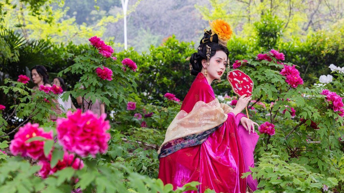 东湖牡丹园迎来盛花期 国色天香醉游人