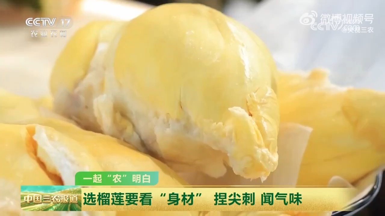 如何挑到“报恩榴莲” 这三个挑选技巧很实用