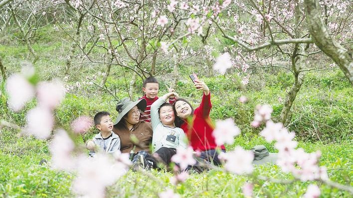 湖北秭归：花绽山村引客来
