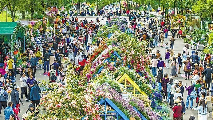 一站饱览12城芳菲