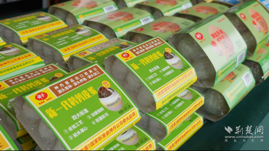 7490e564d83cc98b97970af46470c8f2_554X312_20260415121554