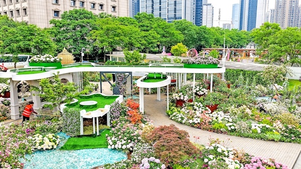 武漢都市圈花展明日啟幕 一日看盡各色花