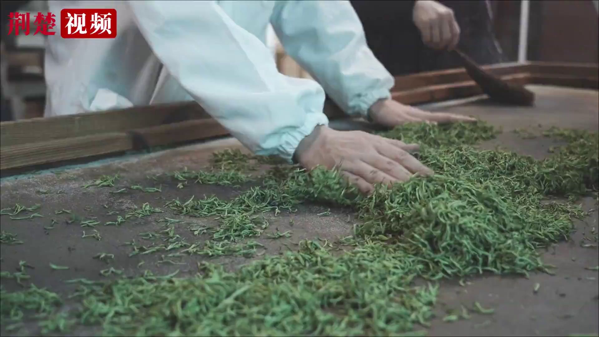 课堂“搬”进车间 恩施职院学生深入茶企学技能