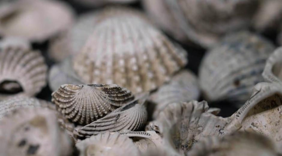 温州一千多年前就流行嗦螺了