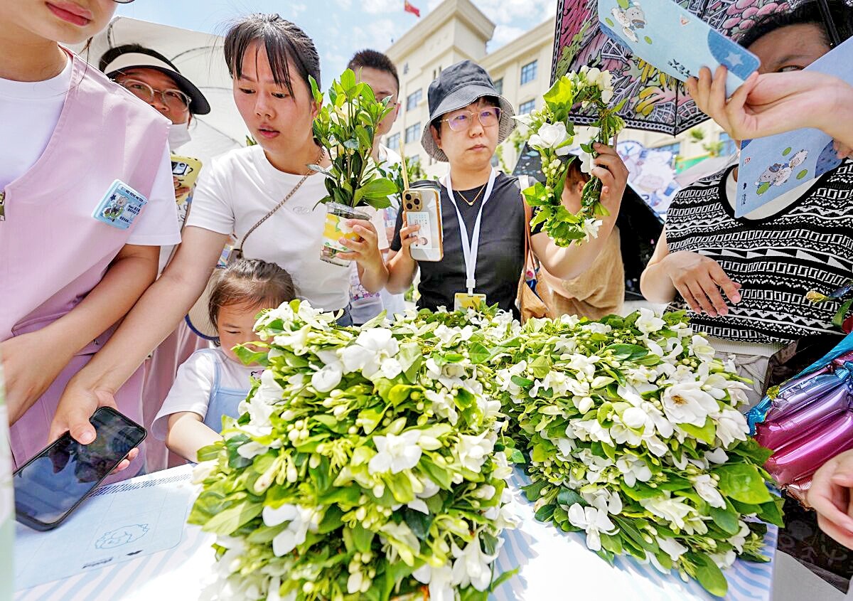 全城飘香！送你10万朵栀子花