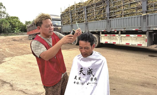 蔗農(nóng)陷入絕境 糖廠及時伸出援助之手