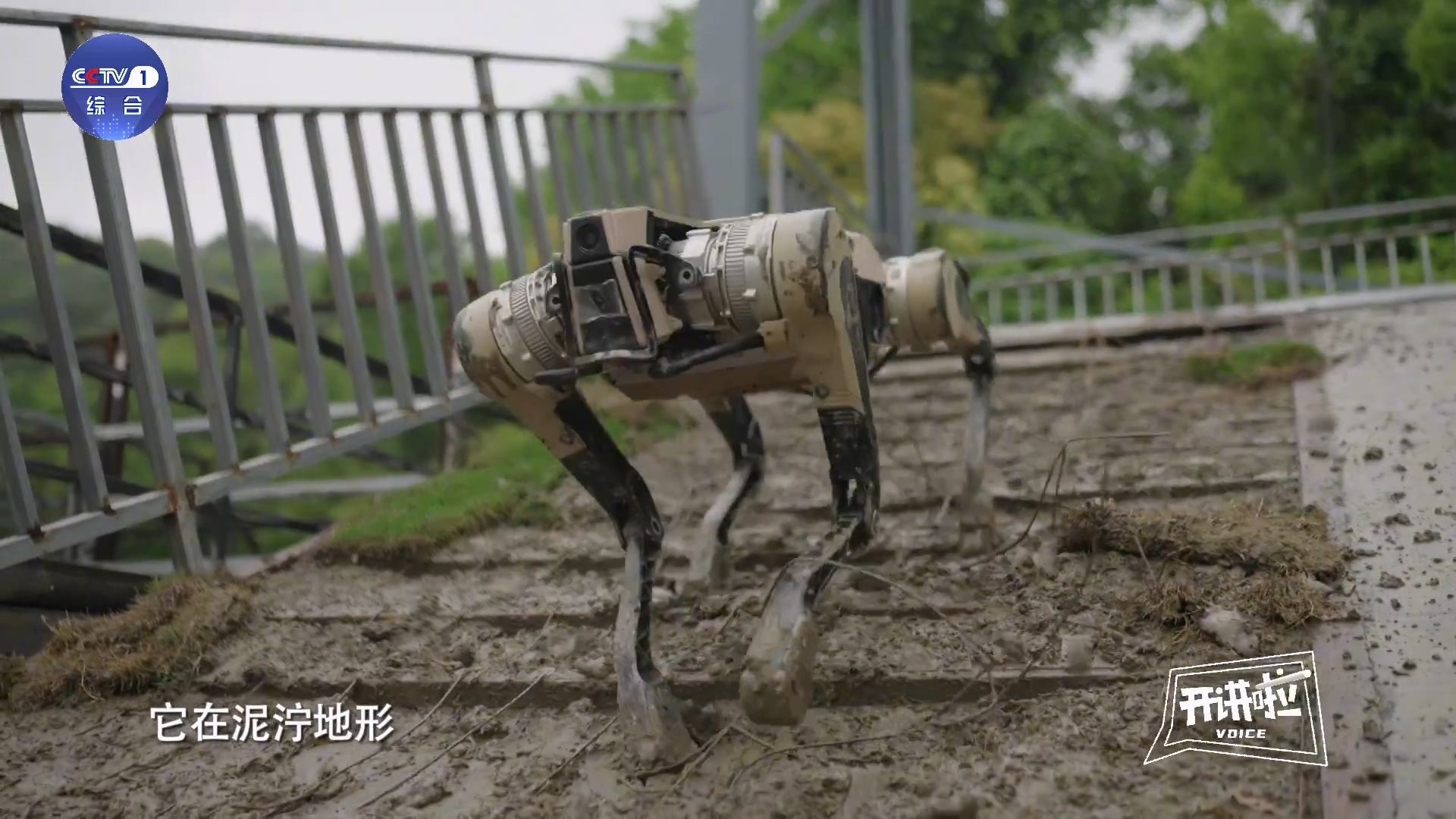 踹不倒的機(jī)器狼