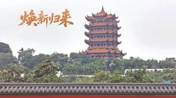 煥新歸來 黃鶴樓紅墻月底迎客