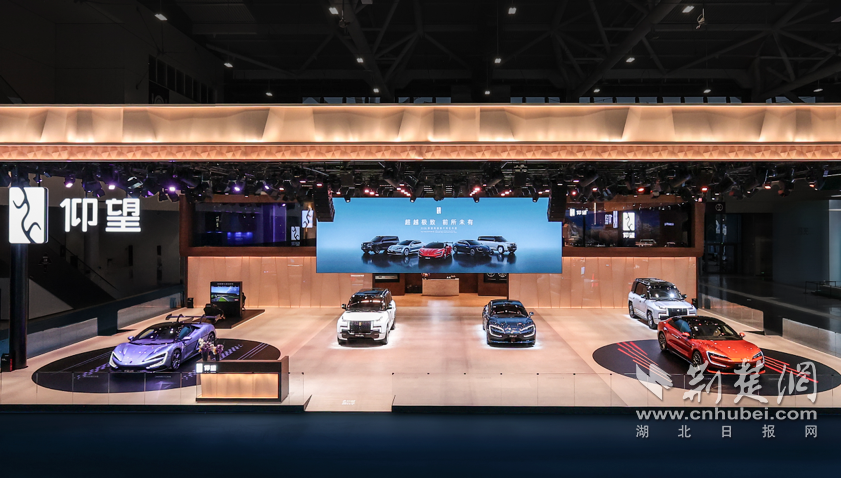 仰望登陆粤港澳大湾区车展 以极致技术重塑豪华新境