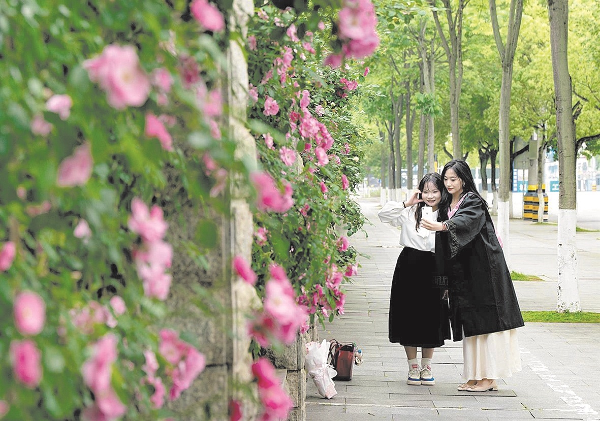 黃石“花城計劃” 繪就宜居畫卷