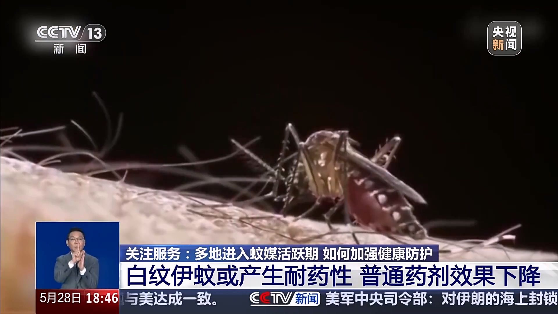 今年的“花蚊子”为何特别难灭